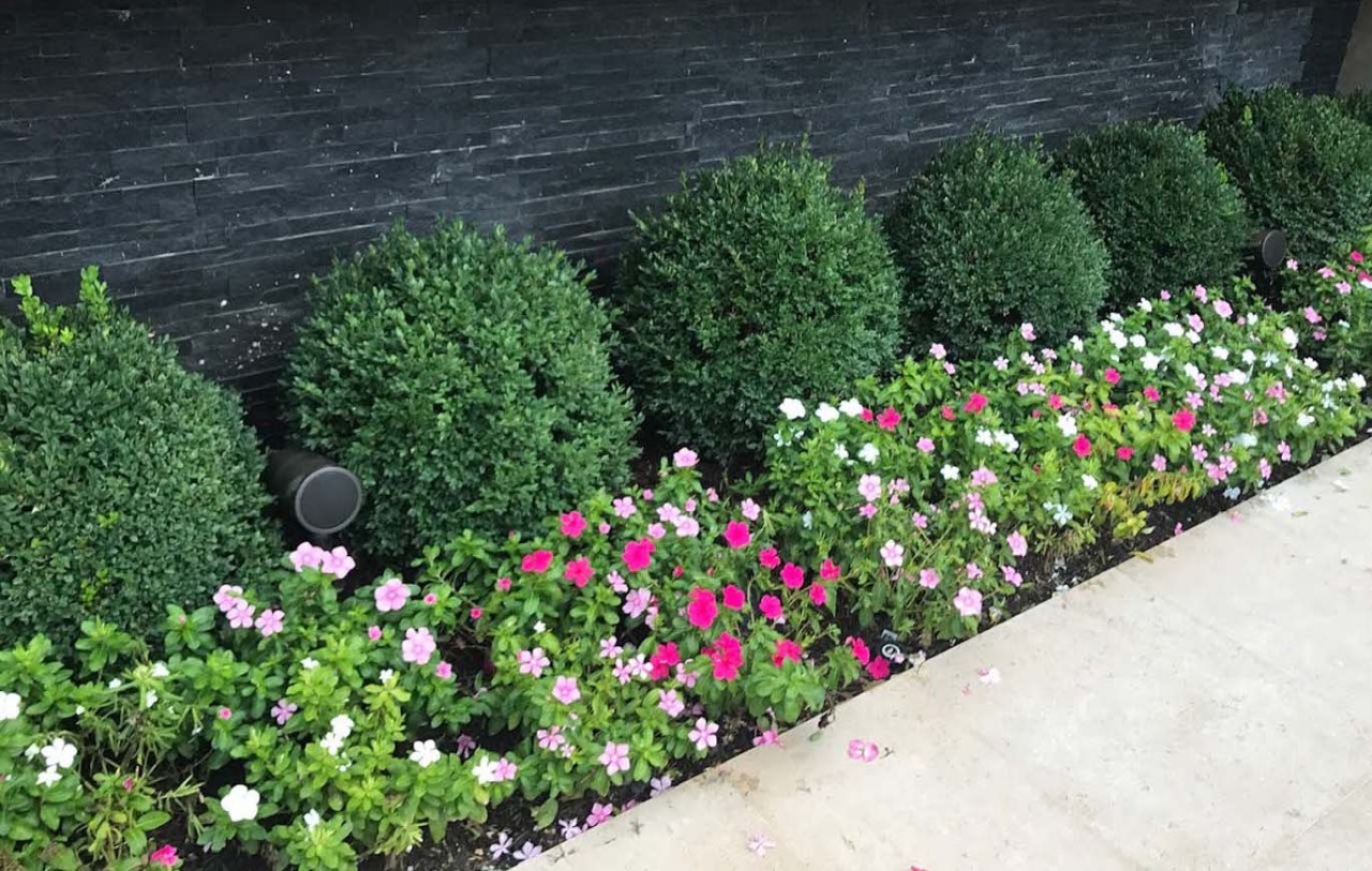 outdoor satellite speakers installed between green bushes, dark pink and light pink flowers.