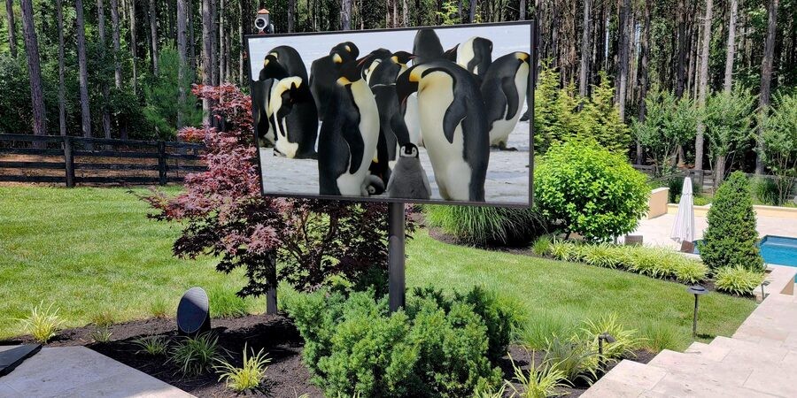 A beautiful outdoor area with an outdoor TV displaying a documentary about nature.
