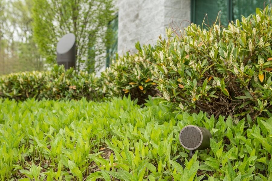 Backyard foliage featuring Coastal Source outdoor speakers