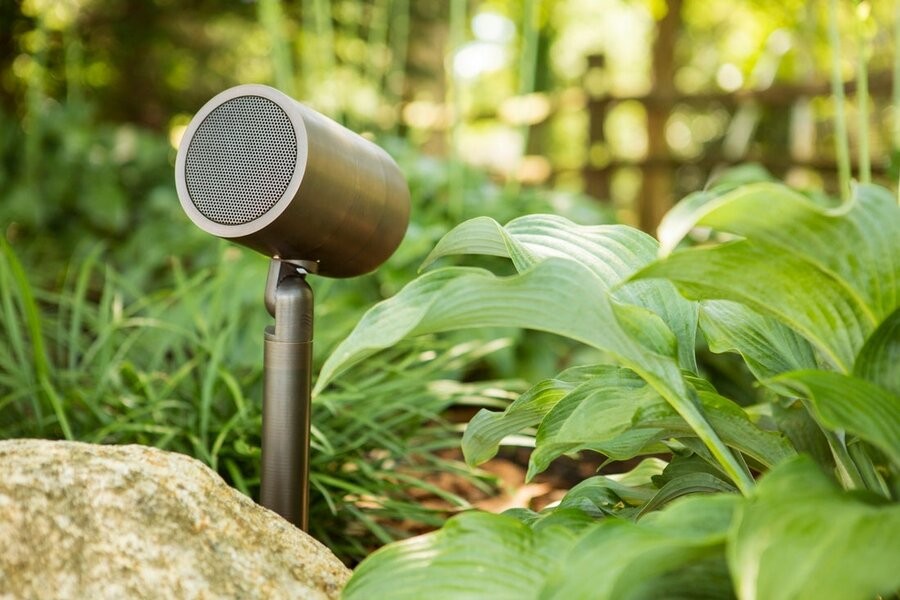 A Coastal Source outdoor speaker among foliage in a backyard.